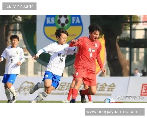 以青训体系为核心打造足球未来发展新格局的探索与实践